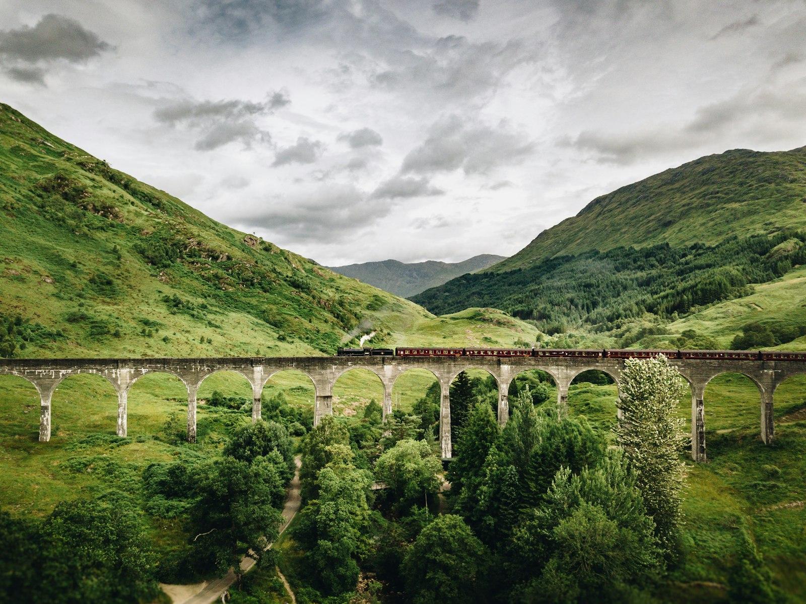 Train Passing By Bridge Over Mountains jigsaw puzzle preview