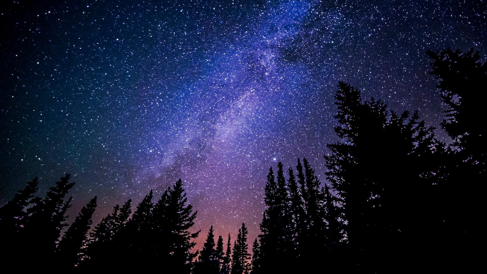 Trees Against Purple Night Sky jigsaw puzzle preview