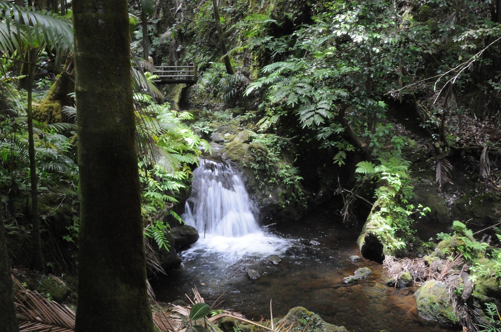 Tropical Jungle Waterfall jigsaw puzzle preview