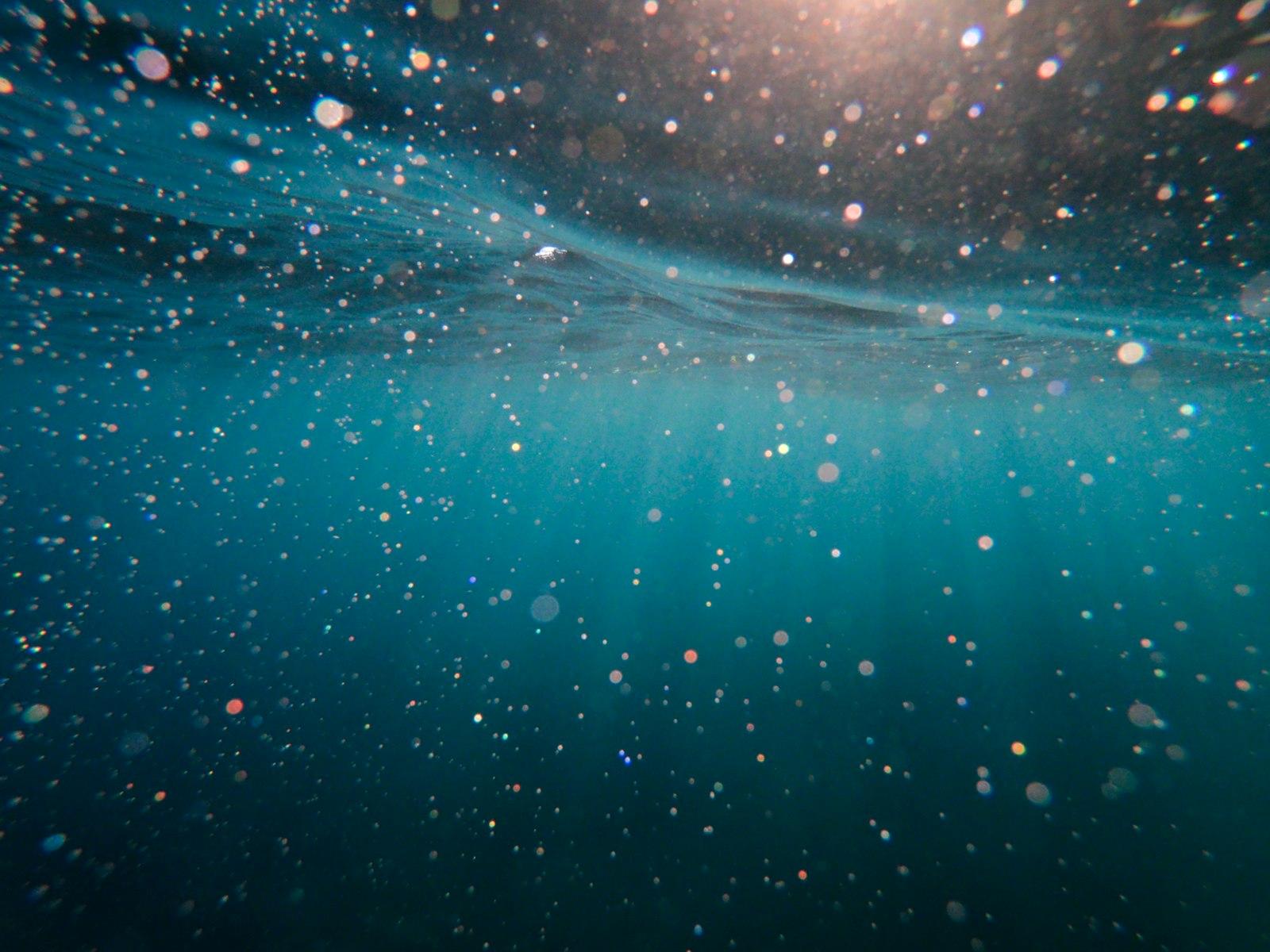 Underwater And Bubbles jigsaw puzzle preview