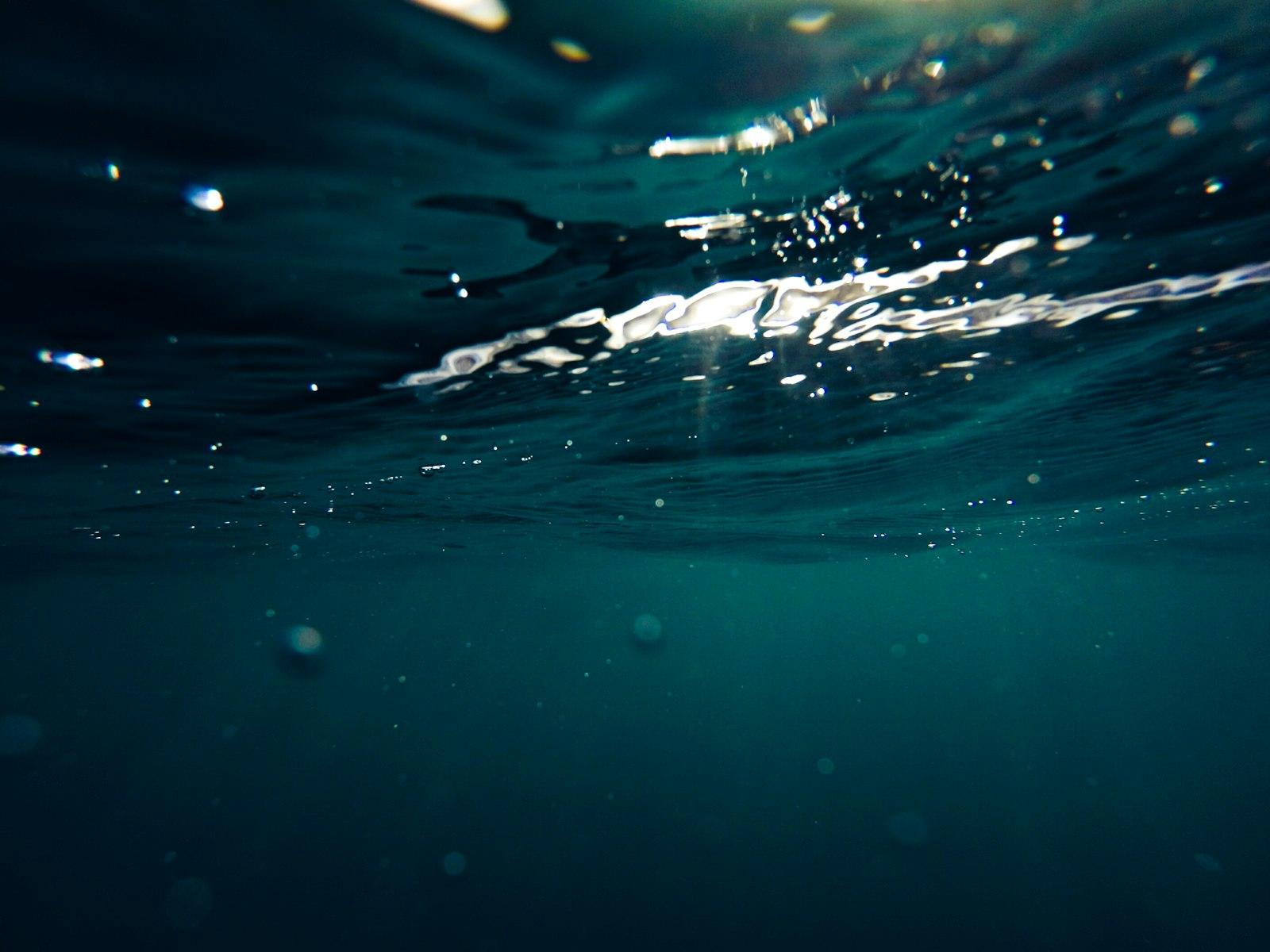 Underwater jigsaw puzzle preview