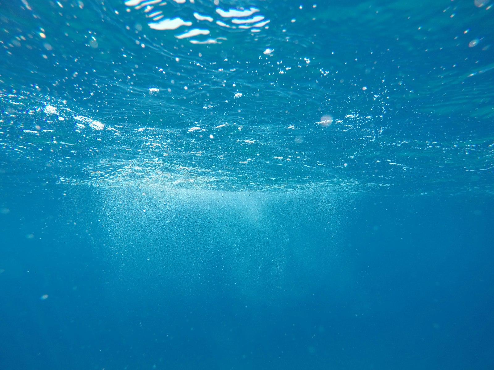 Underwater Photo jigsaw puzzle preview