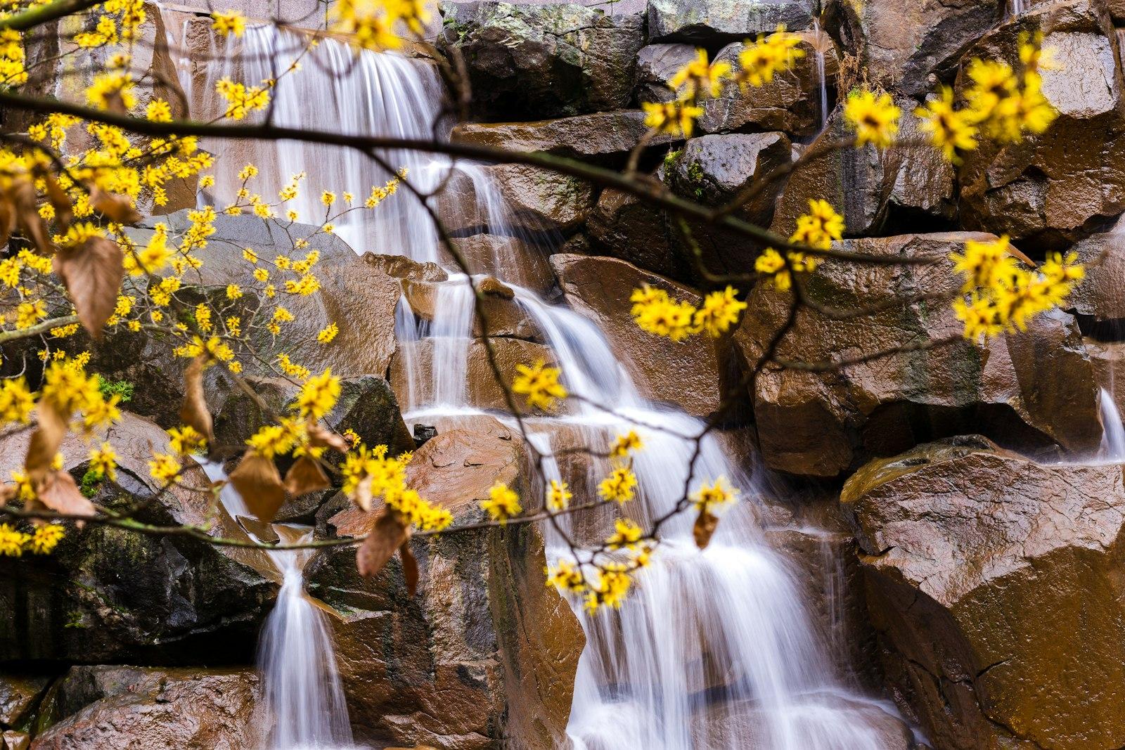Waterfall In The Spring jigsaw puzzle preview