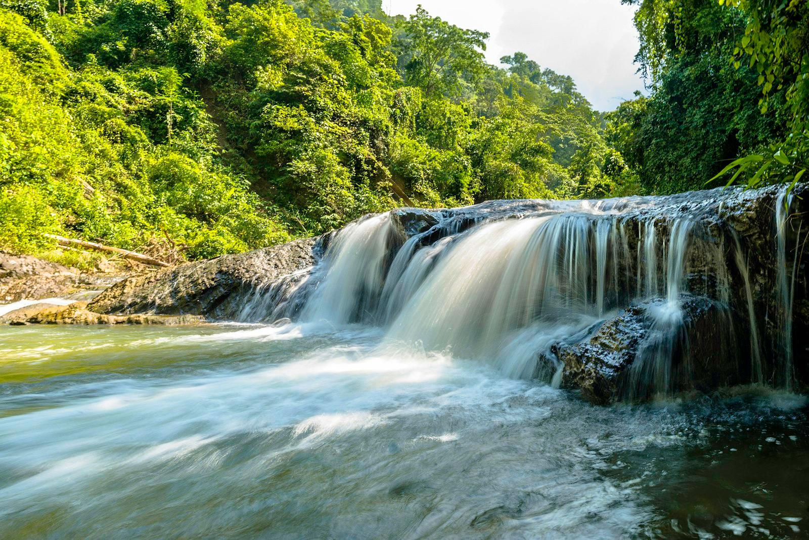 Waterfall Surrounded By Forest jigsaw puzzle preview