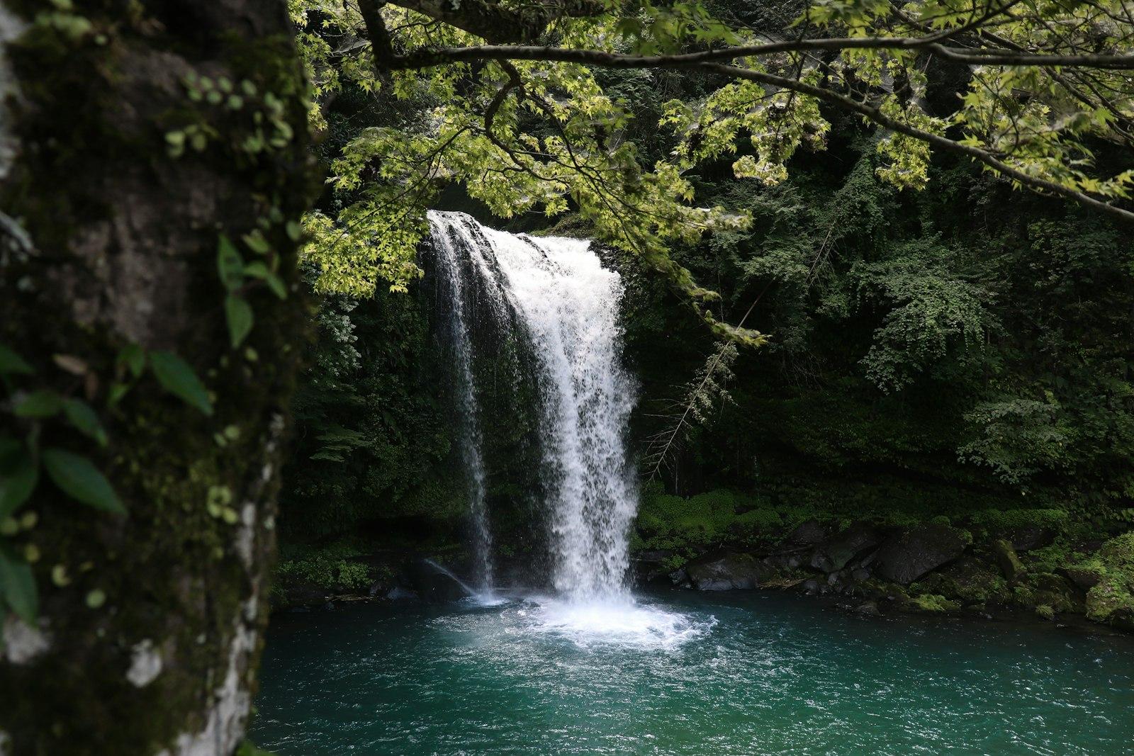 Waterfalls At The Forest During Daytime jigsaw puzzle preview