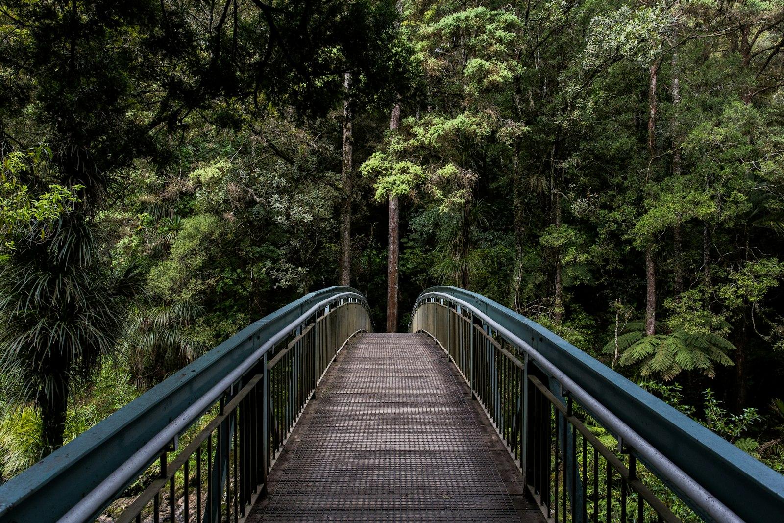 Whangarei Falls Footbridge jigsaw puzzle preview