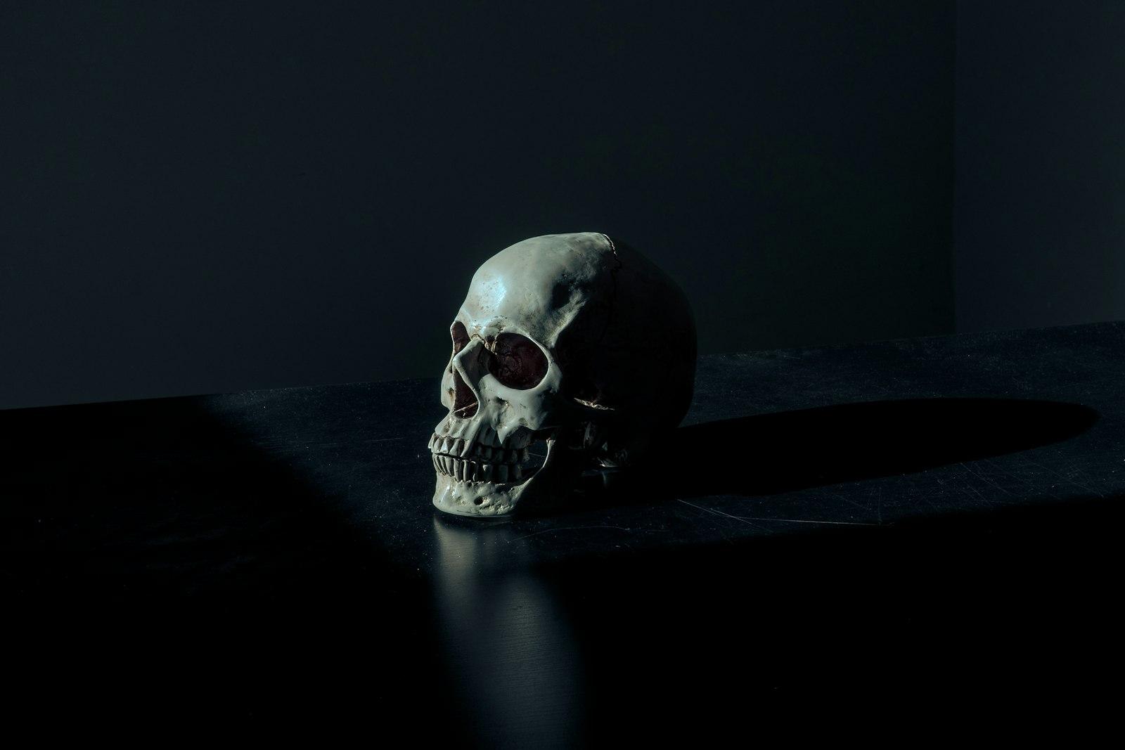White And Black Skull Figurine On Black Surface jigsaw puzzle preview