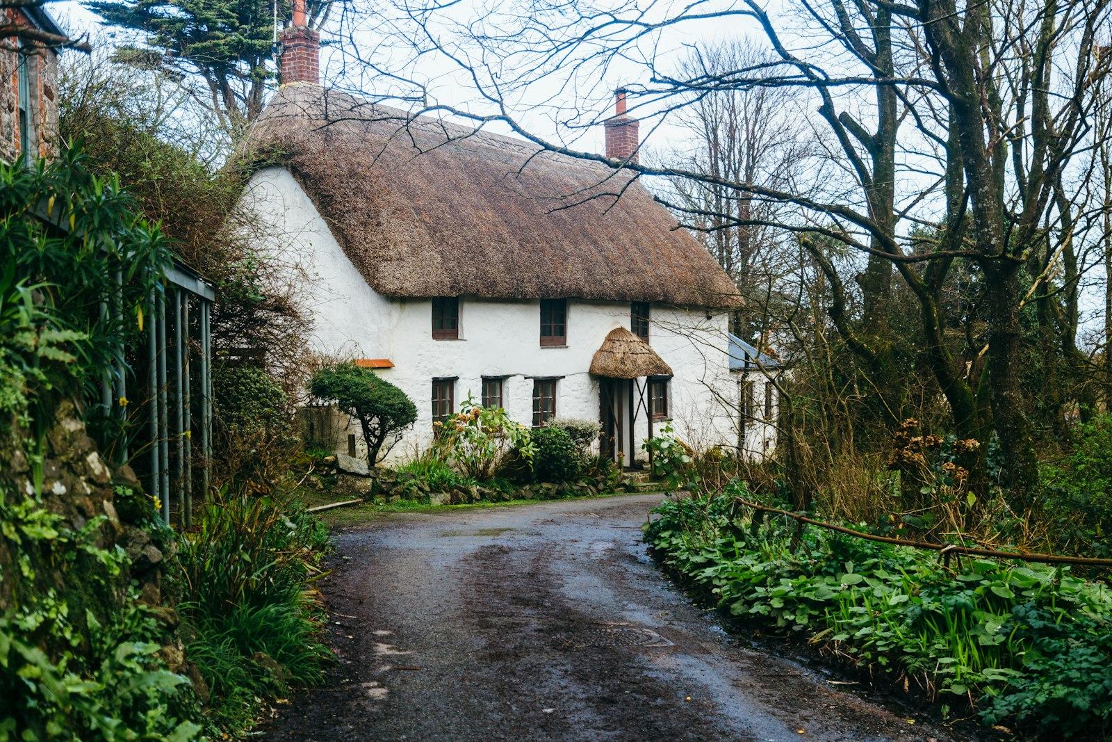 White And Brown House Near Trees jigsaw puzzle preview