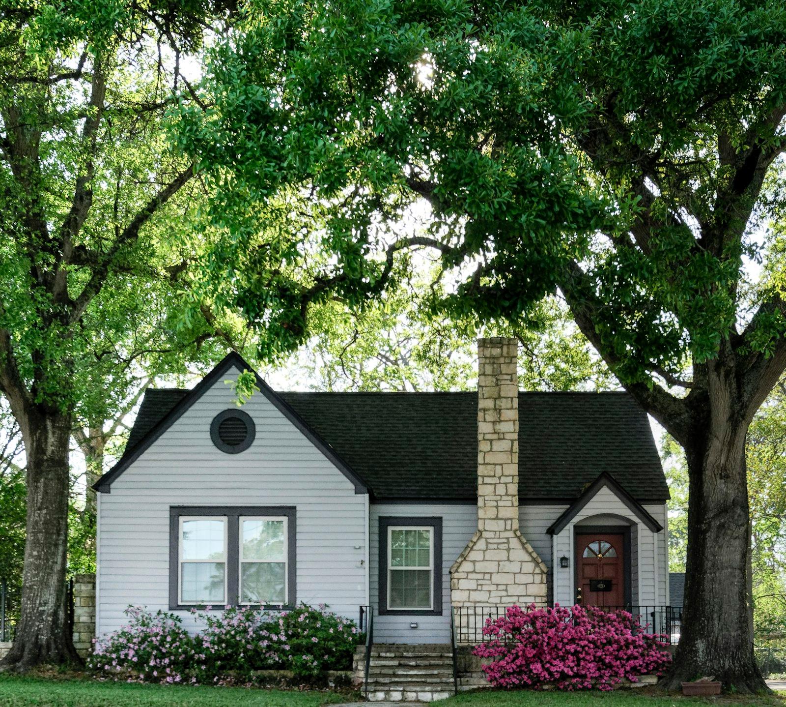 White And Brown House Surrounded By Green Trees jigsaw puzzle preview