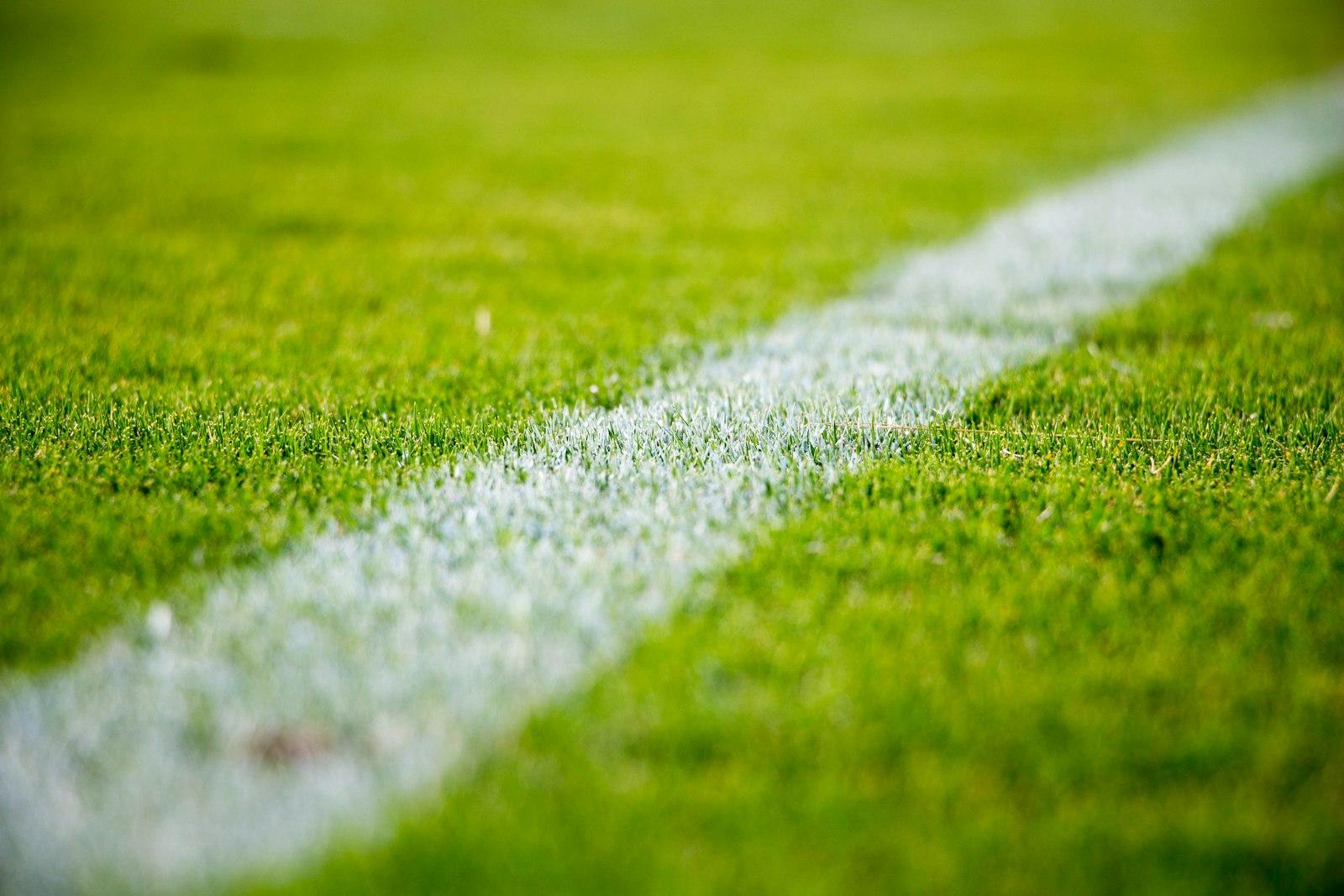 White Soccer Line jigsaw puzzle preview