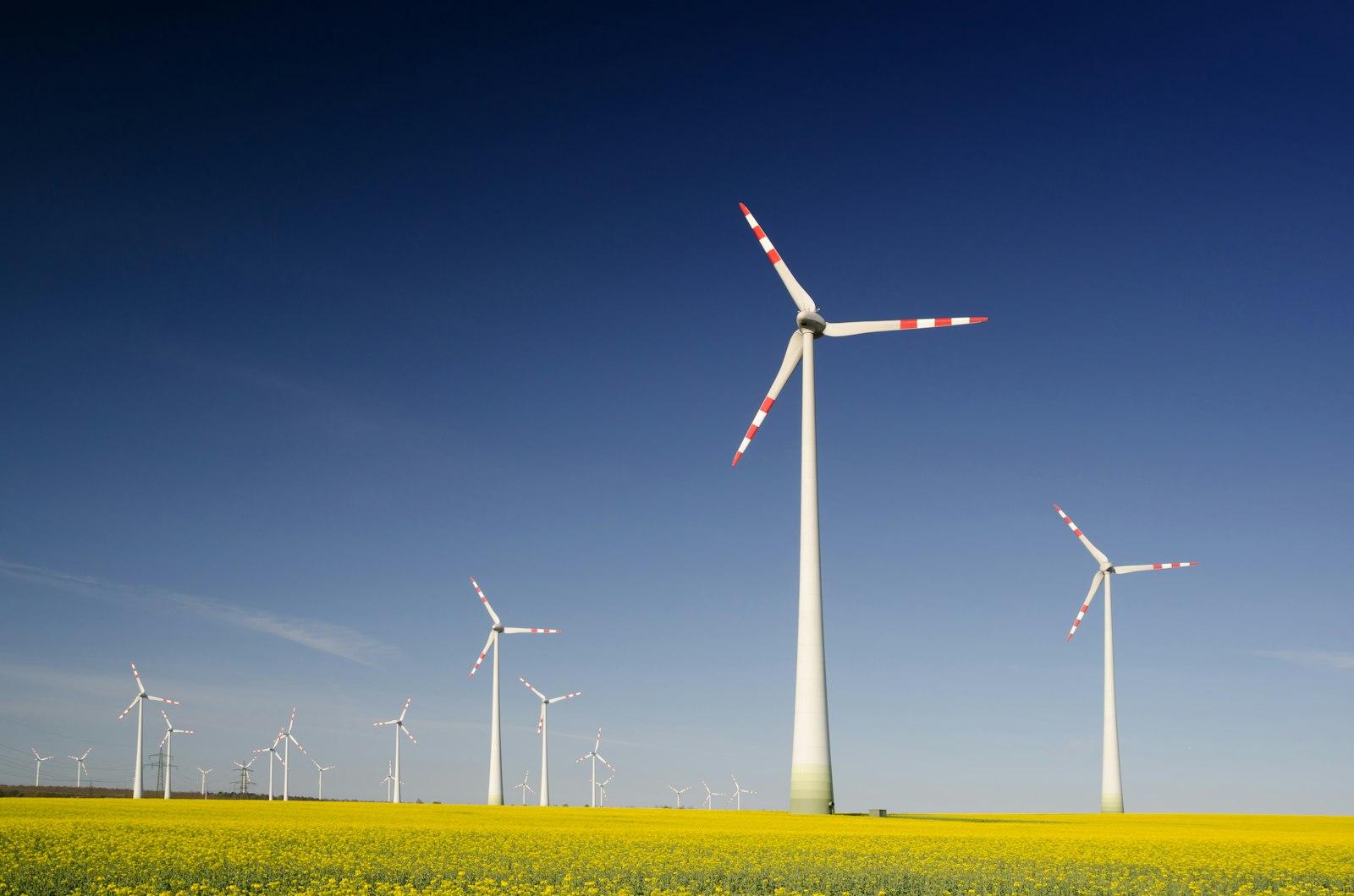 Wind Turbines In The Rape Seed Field jigsaw puzzle preview