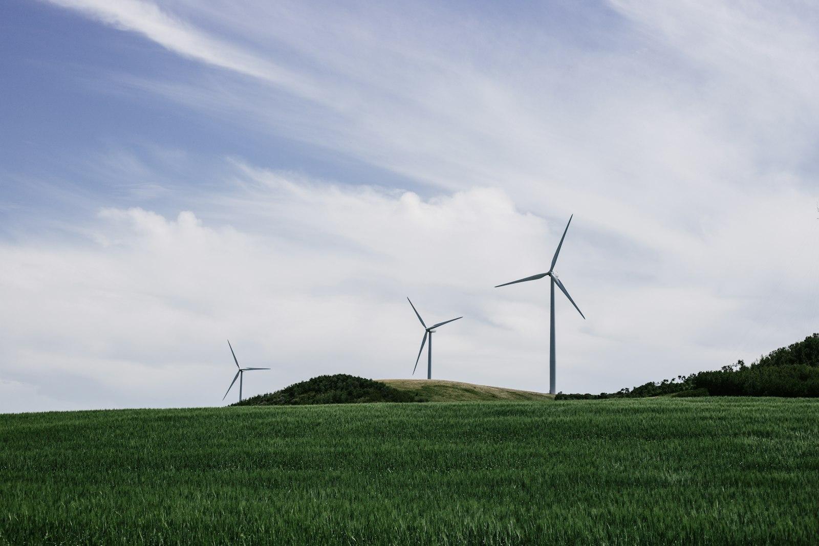 Windmills In A Field jigsaw puzzle preview