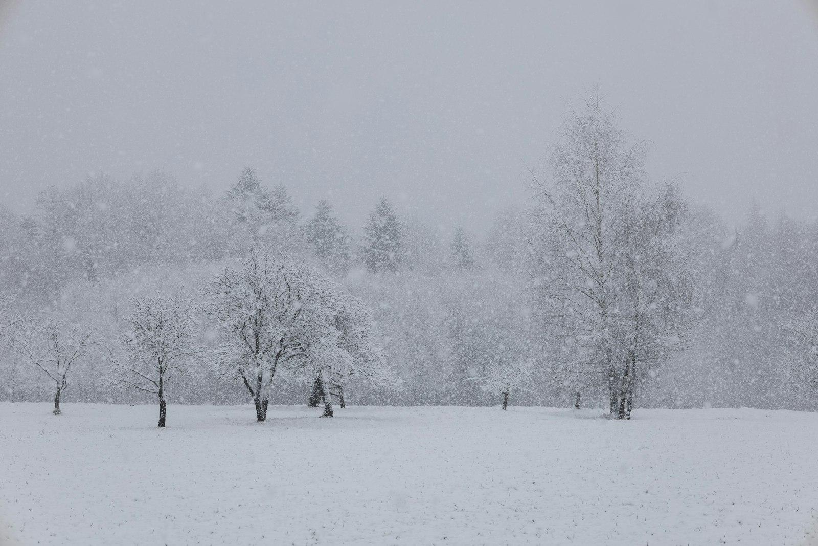Winter In Poland jigsaw puzzle preview