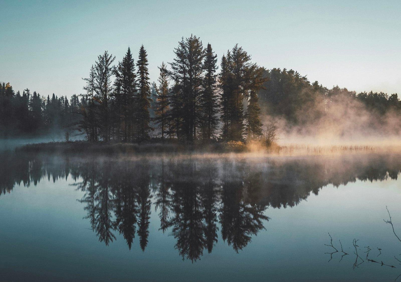 Wooded Lake Island jigsaw puzzle preview
