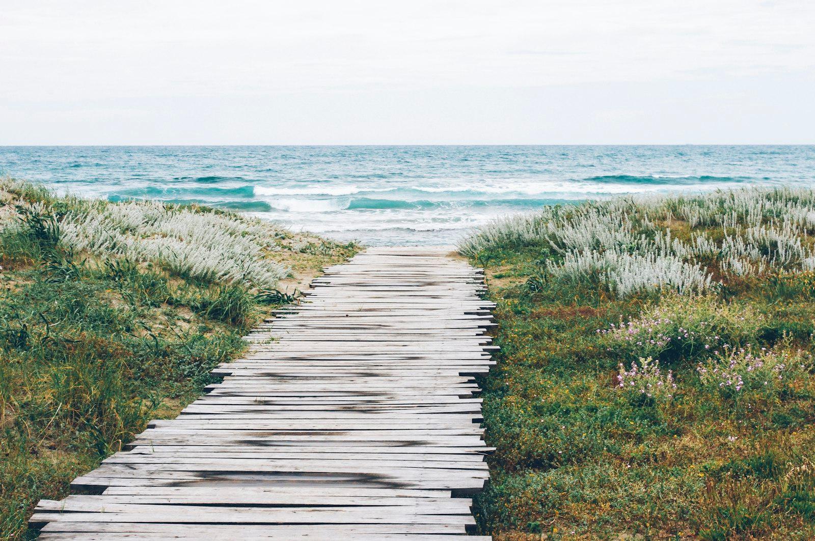 Wooden Path To The Beach jigsaw puzzle preview
