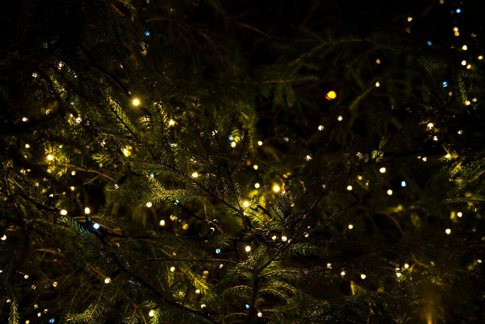 Xmas4 jigsaw puzzle preview