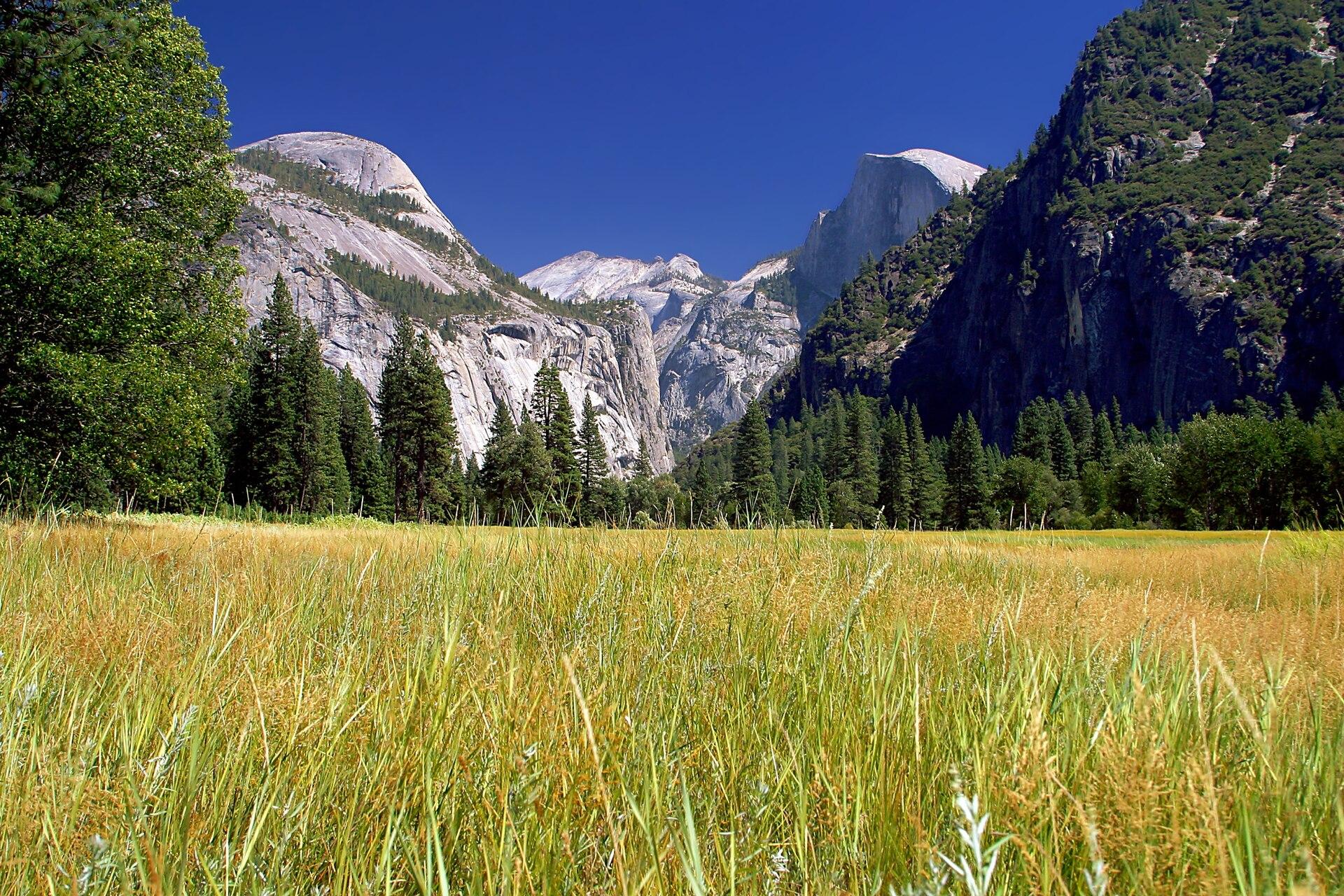 Yosemite Valley jigsaw puzzle preview